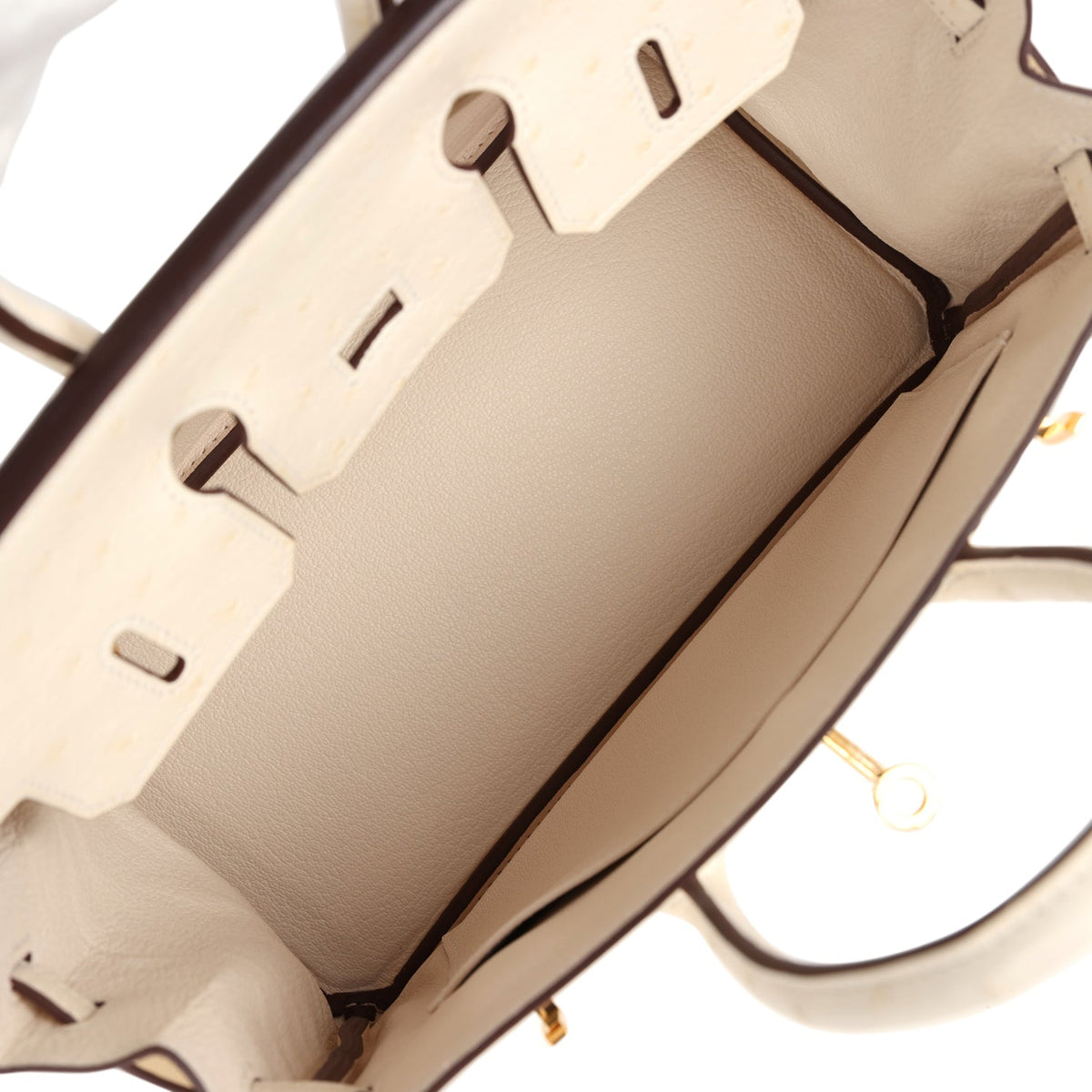 Hermès Birkin 25 Nata Ostrich Gold Hardware