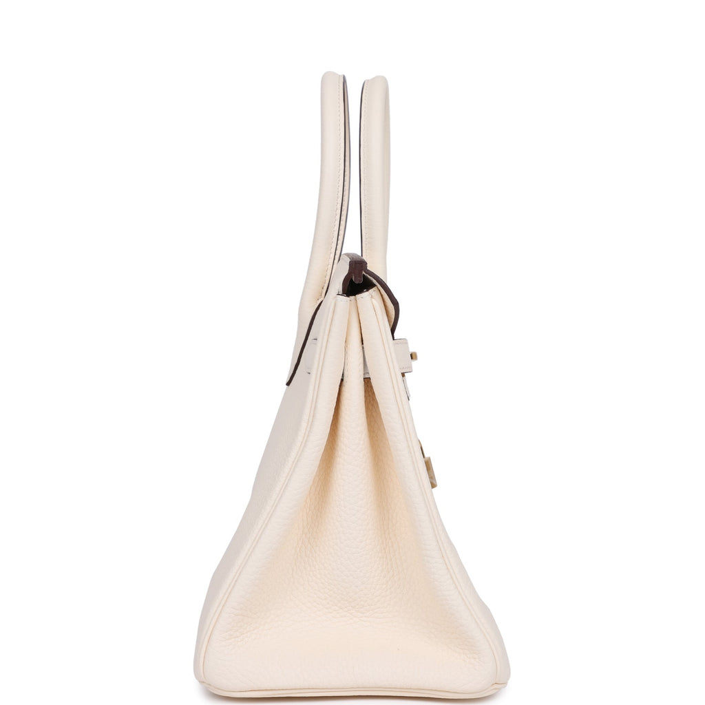 Hermès Birkin 30 Nata Clemence Gold Hardware