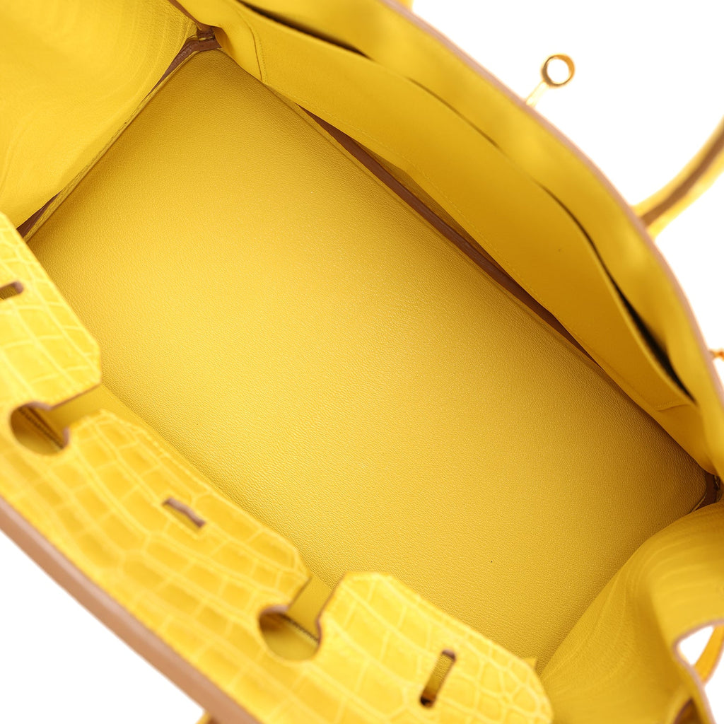 Hermès Birkin 35 Mimosa Matte Faux Leather Gold Hardware