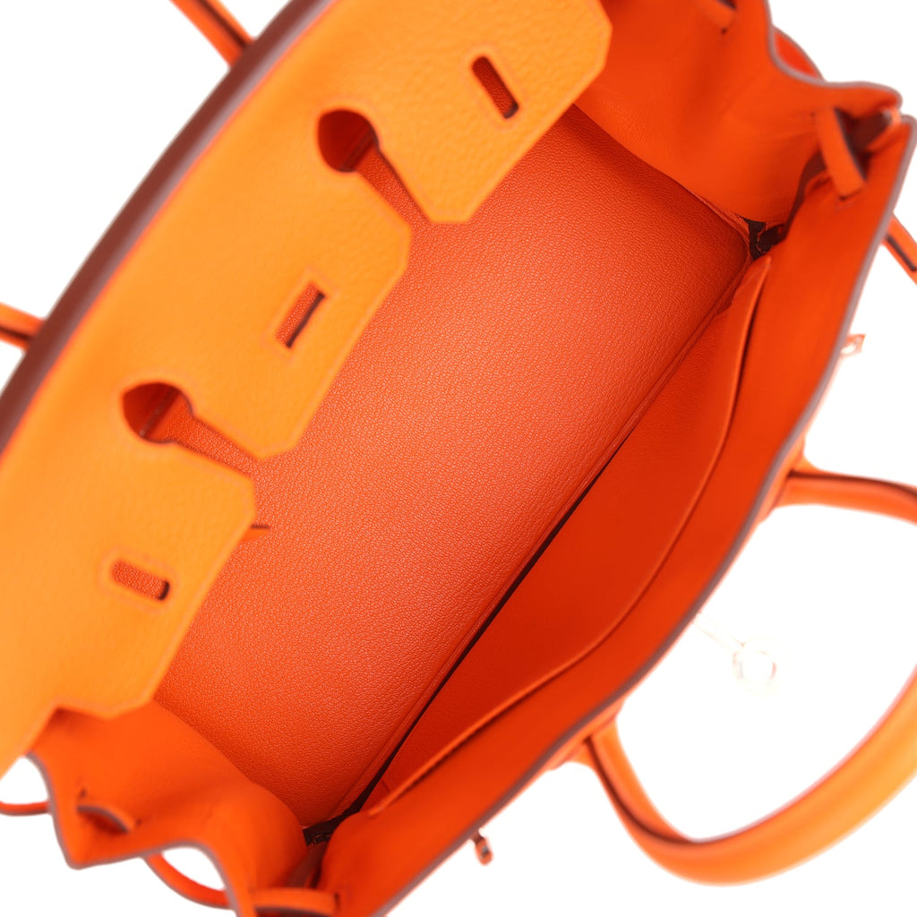 Hermès Birkin 25 Orange Minium Togo Palladium Hardware