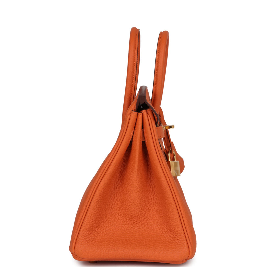 Hermès Birkin 25 Orange Togo Gold Hardware