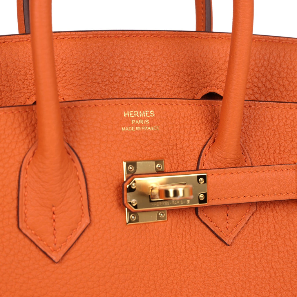 Hermès Birkin 25 Orange Togo Gold Hardware