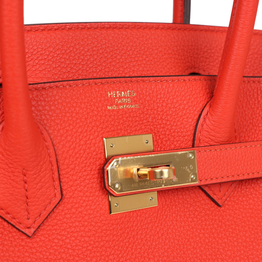 Hermès Birkin 30 Capucine Togo Gold Hardware