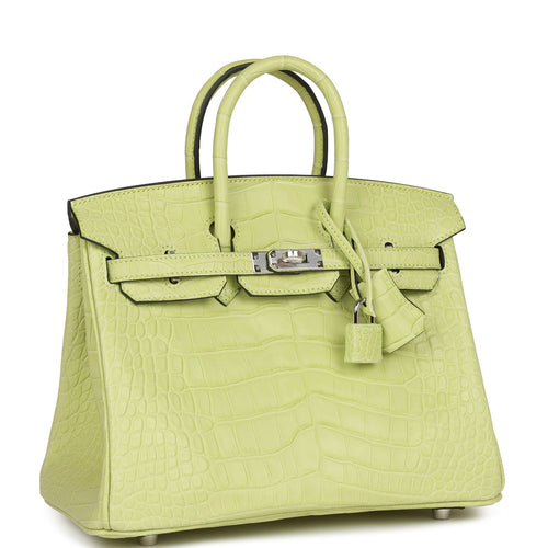 Hermès Birkin 25 Jaune Bourgeon Matte Faux Leather Palladium Hardware
