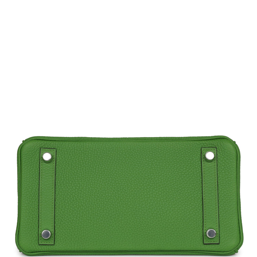 Hermès Birkin 25 Vert Yucca Togo Palladium Hardware