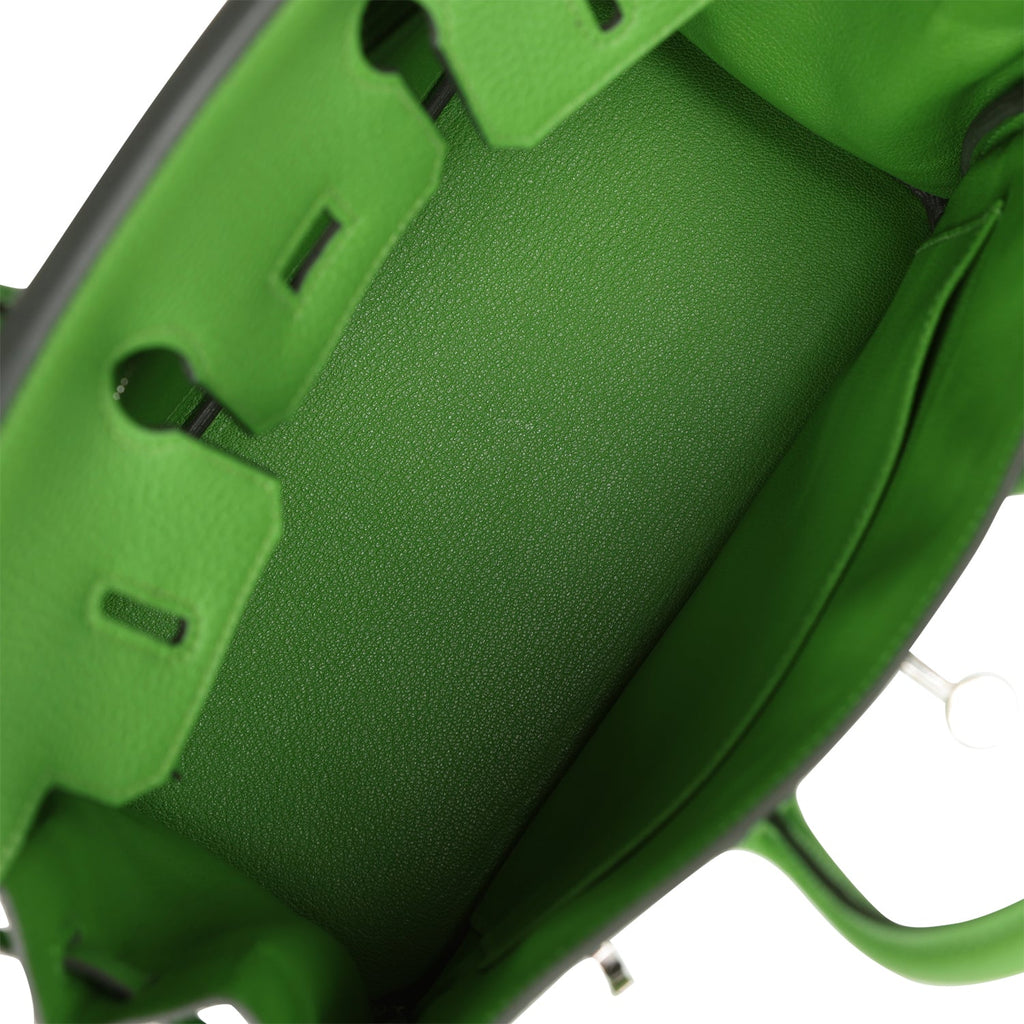 Hermès Birkin 25 Vert Yucca Togo Palladium Hardware