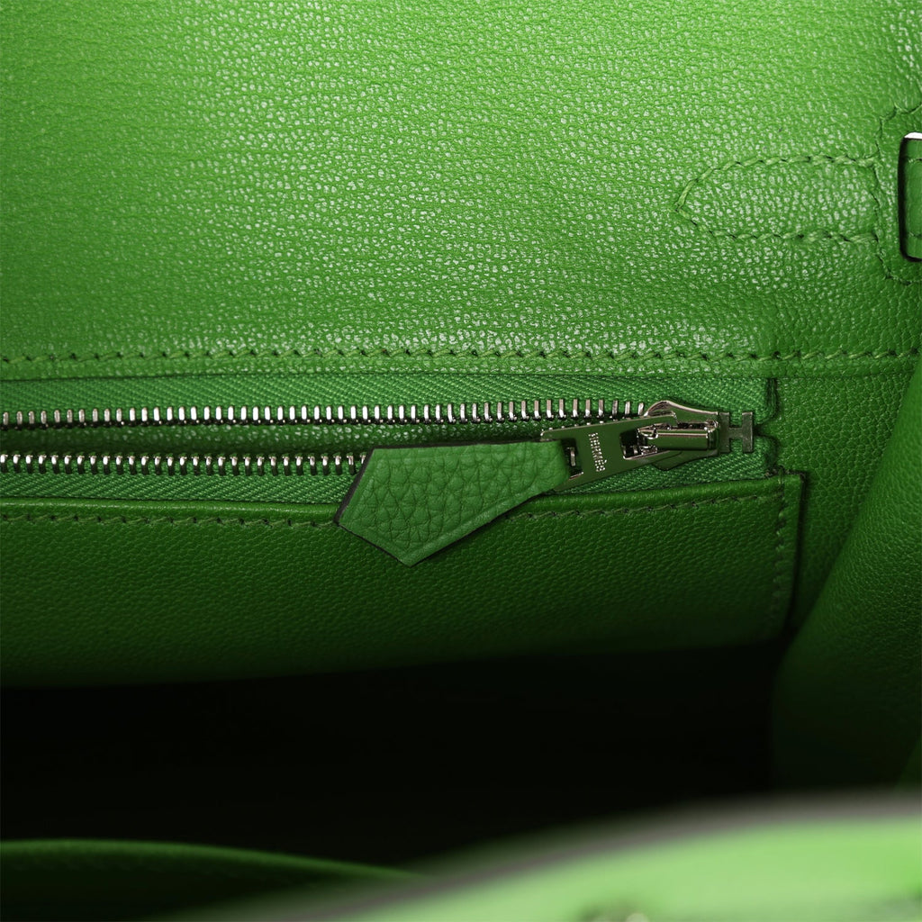 Hermès Birkin 25 Vert Yucca Togo Palladium Hardware
