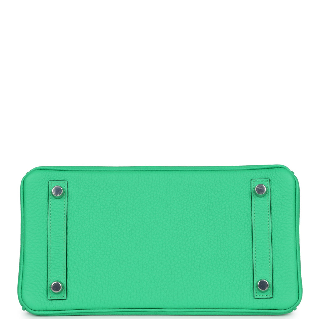 Hermès Birkin 25 Vert Comics Togo-textured Faux Leather and Matte Faux Leather Touch Palladium Hardware