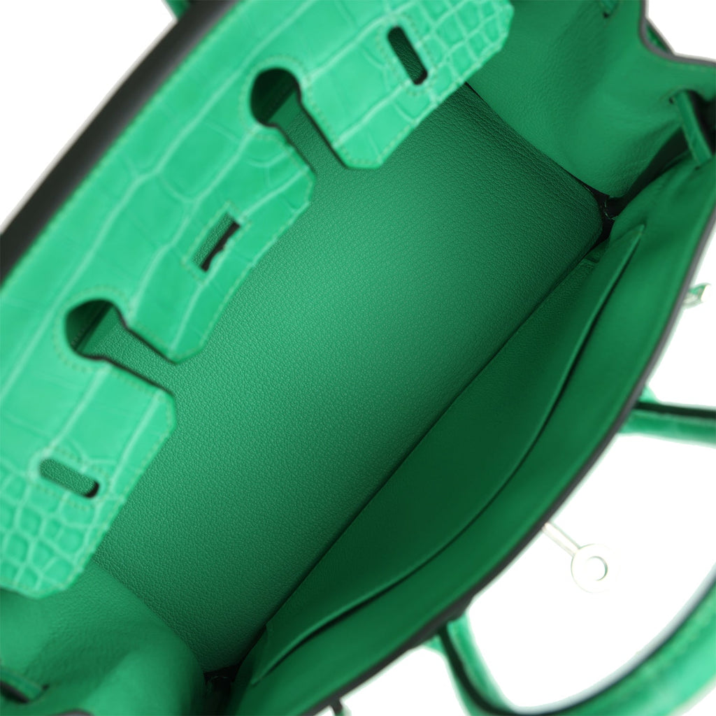 Hermès Birkin 25 Vert Comics Togo-textured Faux Leather and Matte Faux Leather Touch Palladium Hardware