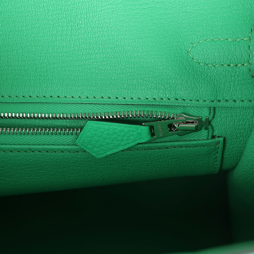 Hermès Birkin 25 Vert Comics Togo-textured Faux Leather and Matte Faux Leather Touch Palladium Hardware