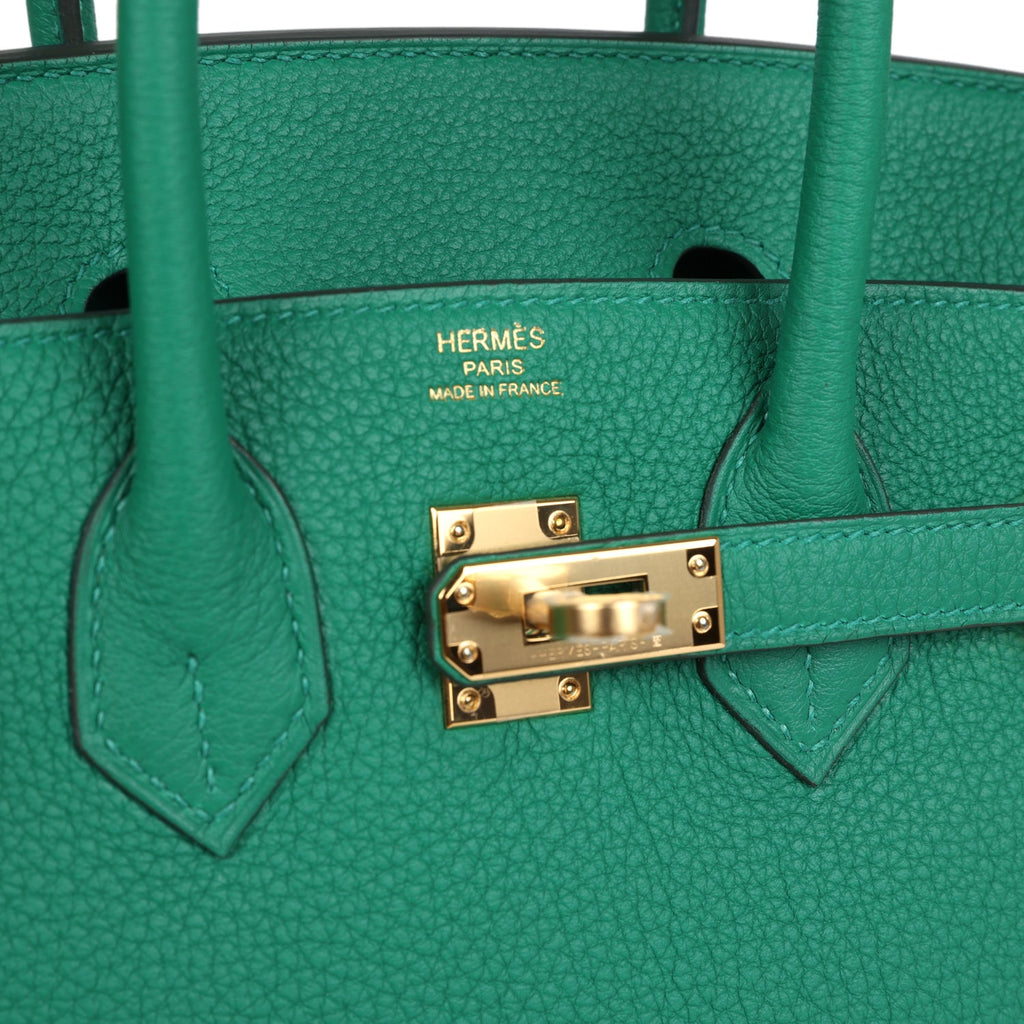 Hermès Birkin 25 Vert Vertigo Togo Gold Hardware