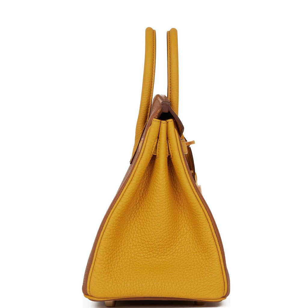Hermès Special Order (HSS) Birkin 25 Gold and Jaune Ambre Togo Brushed Gold Hardware