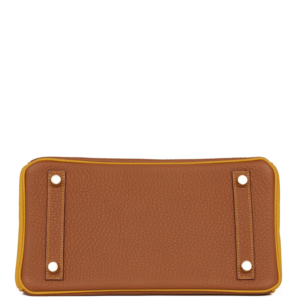Hermès Special Order (HSS) Birkin 25 Gold and Jaune Ambre Togo Brushed Gold Hardware