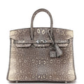Hermès Birkin 25 Ombre Faux Leather Palladium Hardware