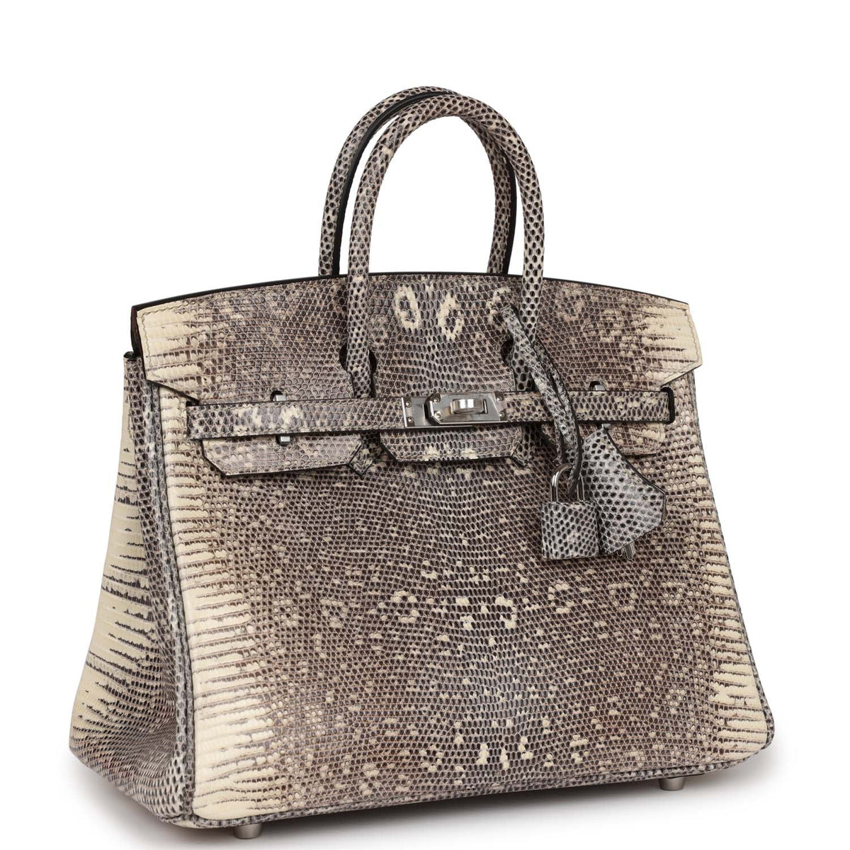 Hermès Birkin 25 Ombre Faux Leather Palladium Hardware