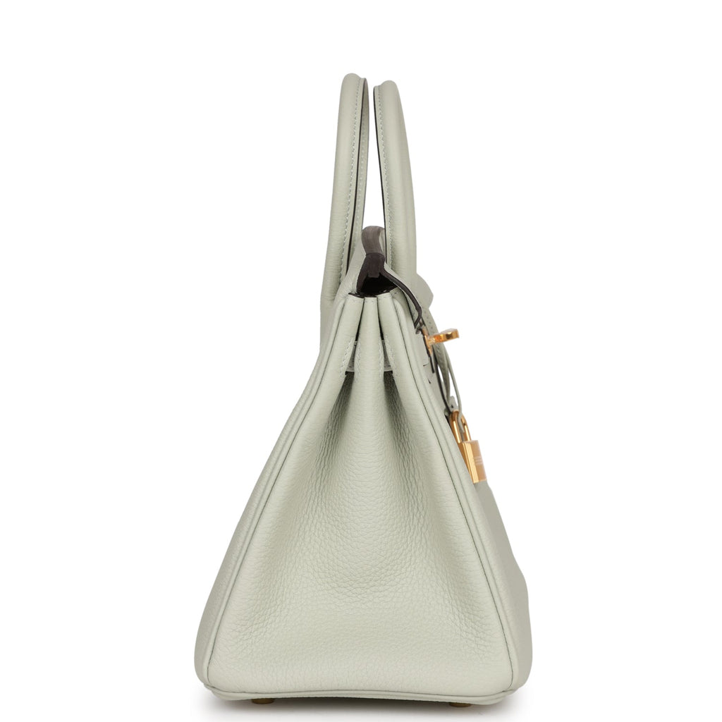 Hermès Birkin 25 Gris Neve Togo Gold Hardware