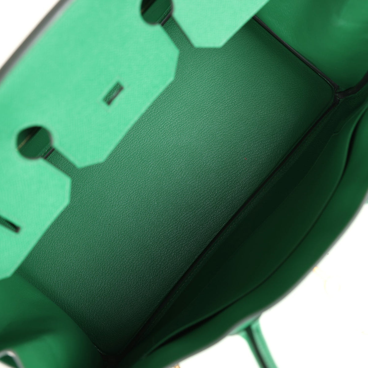 Hermès Birkin 35 Cactus Epsom Gold Hardware