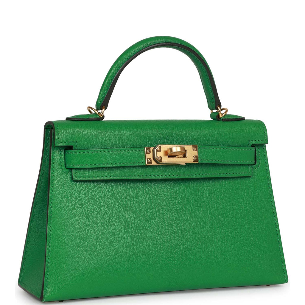 Hermès Kelly Sellier 20 Bambou Chevre Gold Hardware
